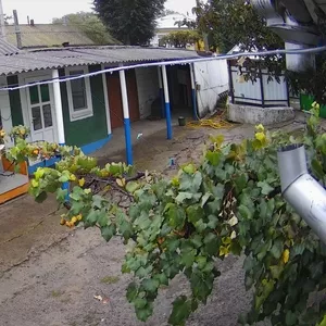Дом,  сарай,  гараж,  погреб 